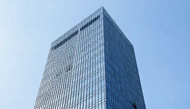 软件售后服务的适用场景与限制分析